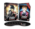 Fullmetal Alchemist Brotherhood (DVD)